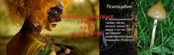 ГАЛЛЮЦИНОГЕННЫЕ ГРИБЫ Костерёво