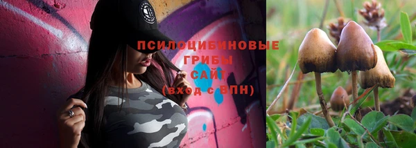 прущая мука Корсаков