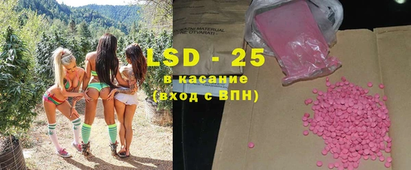 ГАЛЛЮЦИНОГЕННЫЕ ГРИБЫ Костерёво