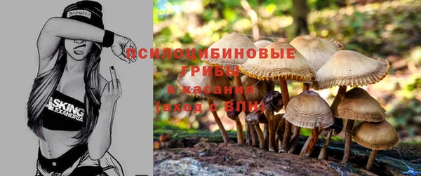 МДПВ Коряжма